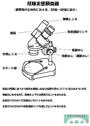 中学一年理科 ブリッジぷりんと