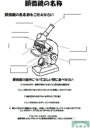 中１理科 顕微鏡の名称と使い方 ブリッジぷりんと