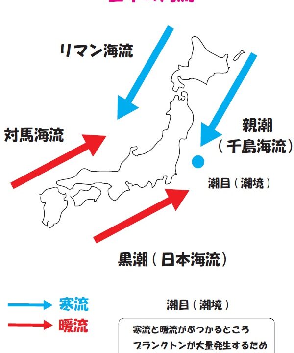 中学地理 日本の海流 ブリッジぷりんと