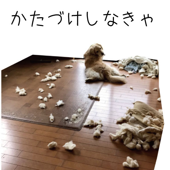 ミニマリスト ブリッジぷりんと