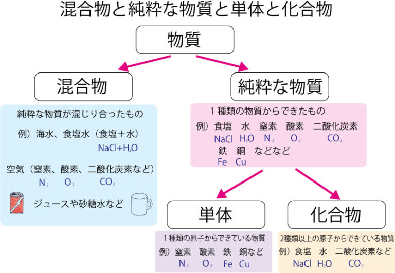 滲出液と分泌物の違いは何ですか?